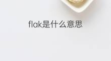 flak是什么意思 flak的翻译、读音、例句、中文解释