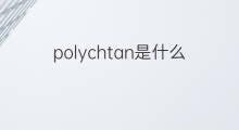 polychtan是什么意思 polychtan的翻译、读音、例句、中文解释