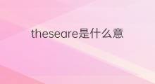theseare是什么意思 theseare的翻译、读音、例句、中文解释