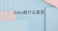doka是什么意思 doka的翻译、读音、例句、中文解释