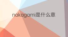 nakagami是什么意思 nakagami的翻译、读音、例句、中文解释