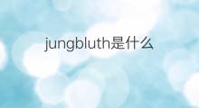 jungbluth是什么意思 jungbluth的翻译、读音、例句、中文解释