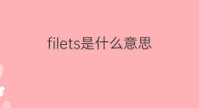 filets是什么意思 filets的翻译、读音、例句、中文解释