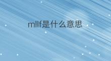 mllf是什么意思 mllf的翻译、读音、例句、中文解释