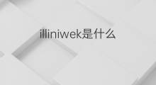 illiniwek是什么意思 illiniwek的翻译、读音、例句、中文解释