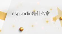 espundia是什么意思 espundia的翻译、读音、例句、中文解释