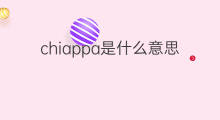 chiappa是什么意思 chiappa的翻译、读音、例句、中文解释
