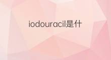 iodouracil是什么意思 iodouracil的翻译、读音、例句、中文解释