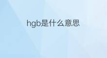 hgb是什么意思 hgb的翻译、读音、例句、中文解释