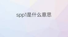 spp1是什么意思 spp1的翻译、读音、例句、中文解释