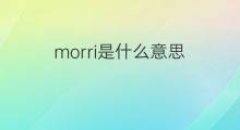 morri是什么意思 morri的翻译、读音、例句、中文解释