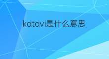katavi是什么意思 katavi的翻译、读音、例句、中文解释