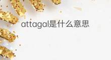 attagal是什么意思 attagal的翻译、读音、例句、中文解释