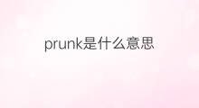 prunk是什么意思 prunk的翻译、读音、例句、中文解释