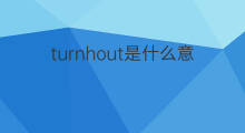 turnhout是什么意思 turnhout的翻译、读音、例句、中文解释
