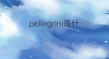 pellegrini是什么意思 pellegrini的翻译、读音、例句、中文解释