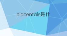 placentals是什么意思 placentals的翻译、读音、例句、中文解释
