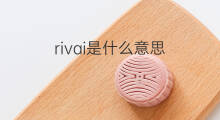rivai是什么意思 rivai的翻译、读音、例句、中文解释