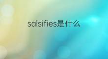 salsifies是什么意思 salsifies的翻译、读音、例句、中文解释