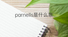 parnells是什么意思 parnells的翻译、读音、例句、中文解释