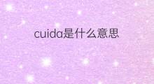 cuida是什么意思 cuida的翻译、读音、例句、中文解释