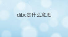 dibc是什么意思 dibc的翻译、读音、例句、中文解释