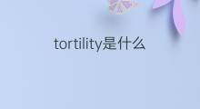 tortility是什么意思 tortility的翻译、读音、例句、中文解释