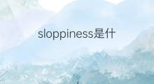 sloppiness是什么意思 sloppiness的翻译、读音、例句、中文解释