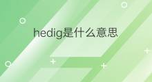 hedig是什么意思 hedig的翻译、读音、例句、中文解释