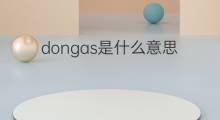 dongas是什么意思 dongas的翻译、读音、例句、中文解释
