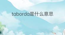 taborda是什么意思 taborda的翻译、读音、例句、中文解释