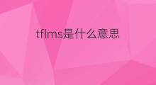 tflms是什么意思 tflms的翻译、读音、例句、中文解释
