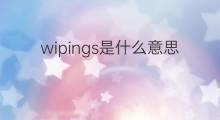wipings是什么意思 wipings的翻译、读音、例句、中文解释