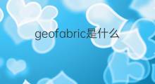 geofabric是什么意思 geofabric的翻译、读音、例句、中文解释