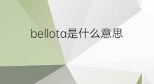 bellota是什么意思 bellota的翻译、读音、例句、中文解释