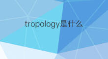 tropology是什么意思 tropology的翻译、读音、例句、中文解释