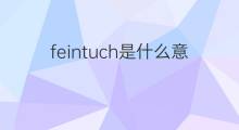 feintuch是什么意思 feintuch的翻译、读音、例句、中文解释