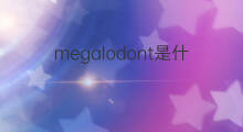 megalodont是什么意思 megalodont的翻译、读音、例句、中文解释
