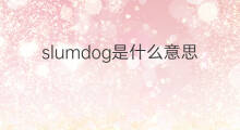 slumdog是什么意思 slumdog的翻译、读音、例句、中文解释