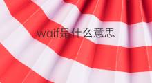 waif是什么意思 waif的中文翻译、读音、例句