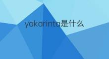 yakarinta是什么意思 yakarinta的中文翻译、读音、例句