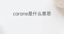 carane是什么意思 carane的中文翻译、读音、例句