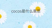 cocos是什么意思 cocos的翻译、读音、例句、中文解释