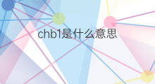 chb1是什么意思 chb1的中文翻译、读音、例句