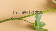 fresh是什么意思 fresh的中文翻译、读音、例句