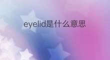 eyelid是什么意思 eyelid的中文翻译、读音、例句