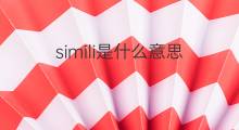 simili是什么意思 simili的中文翻译、读音、例句