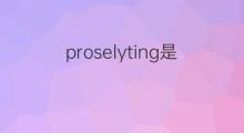 proselyting是什么意思 proselyting的中文翻译、读音、例句