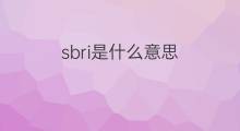 sbri是什么意思 sbri的中文翻译、读音、例句