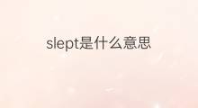 slept是什么意思 slept的中文翻译、读音、例句